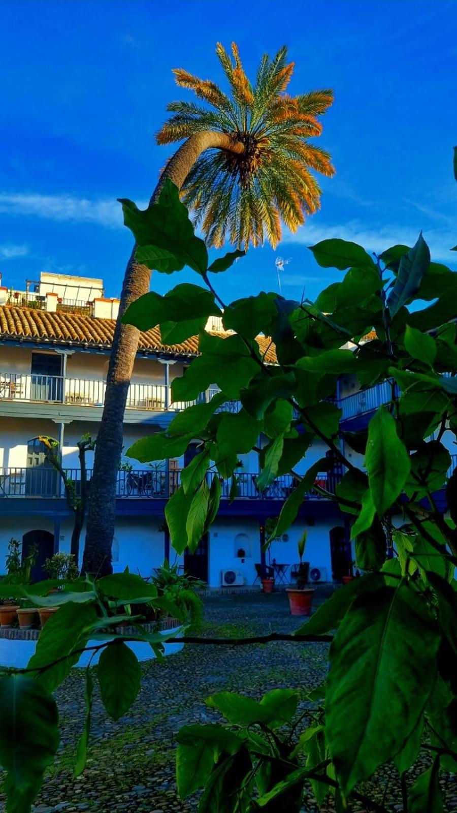 Andalusian Courtyard Séville