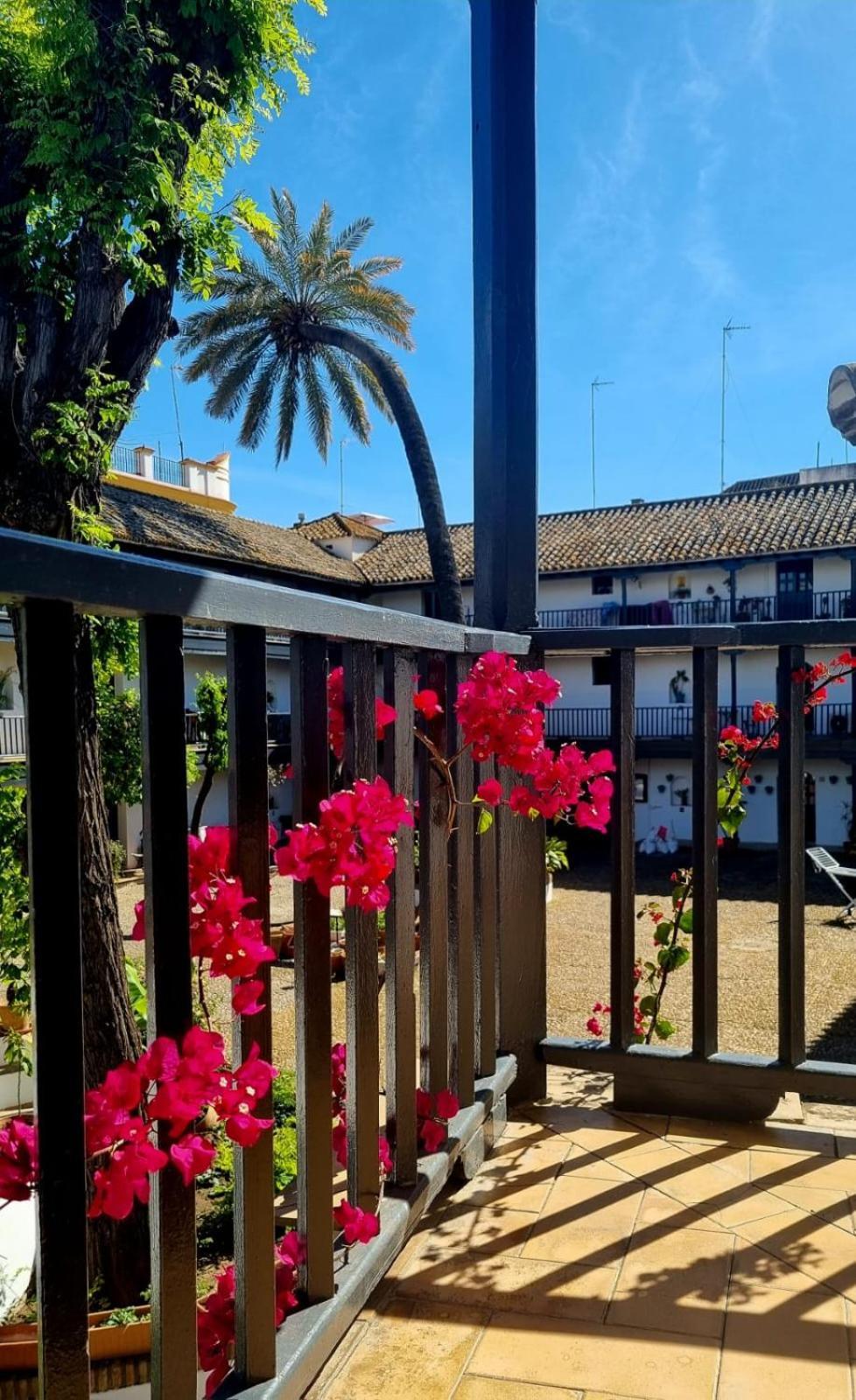 Appartement Andalusian Courtyard Séville