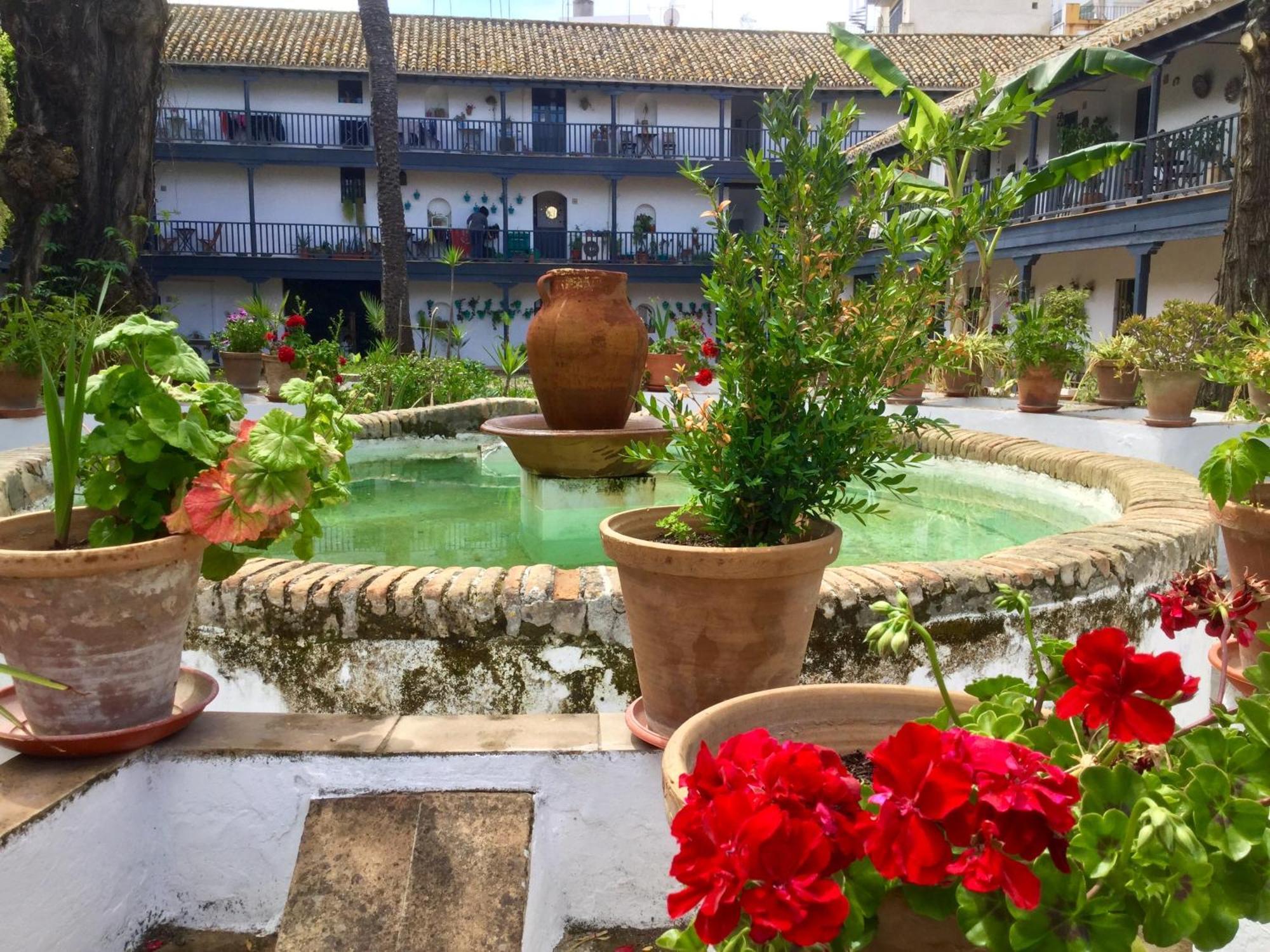 Andalusian Courtyard Séville