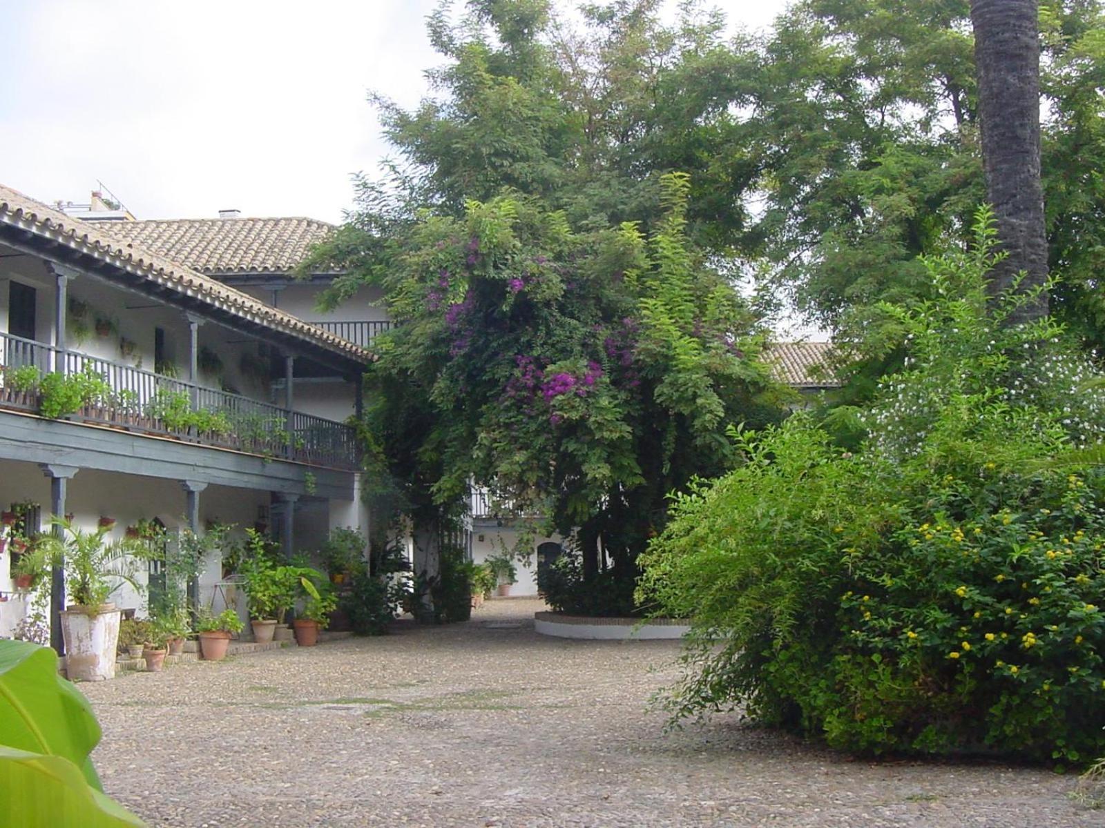 Andalusian Courtyard