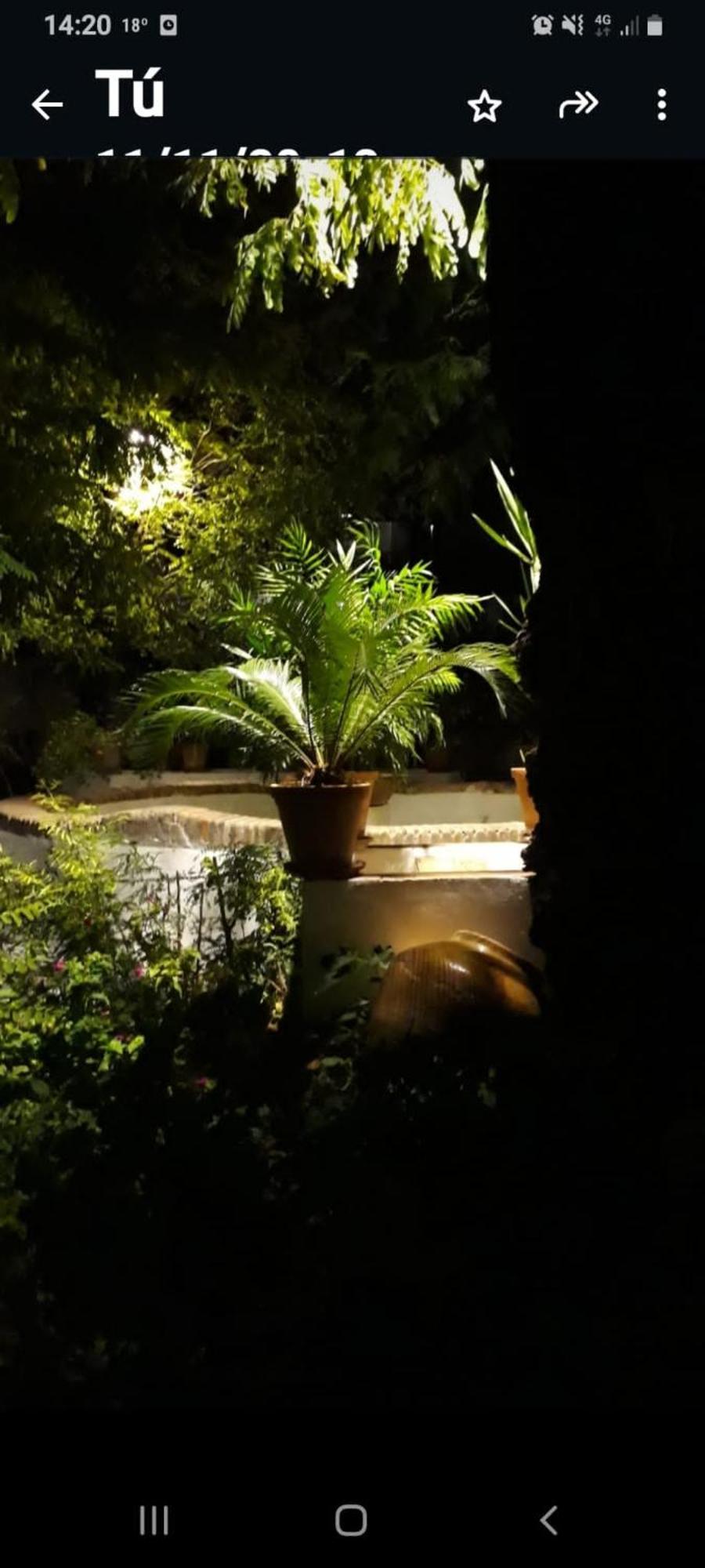 Appartement Andalusian Courtyard Séville