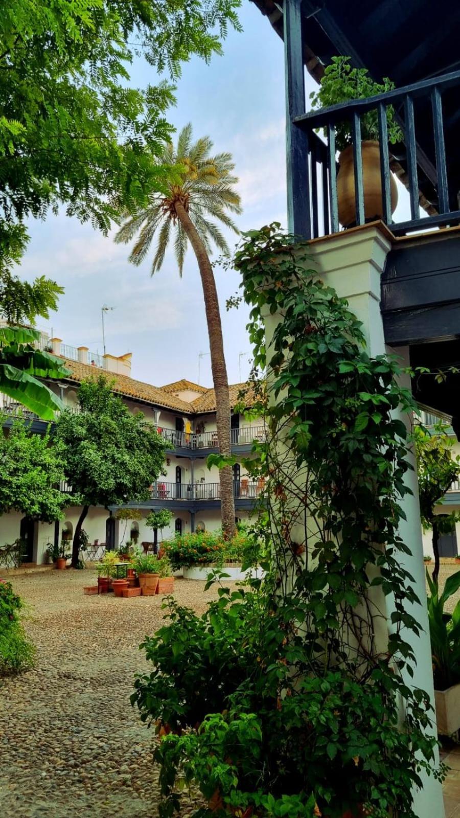 Andalusian Courtyard *