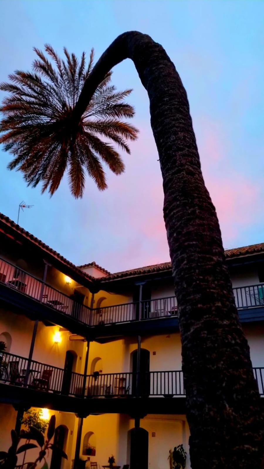 Andalusian Courtyard * Séville
