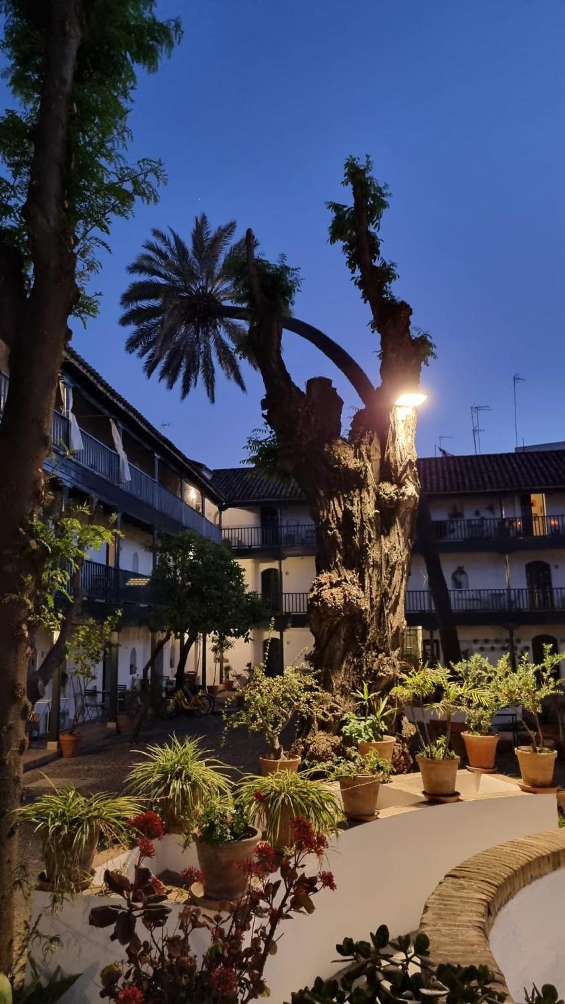 Andalusian Courtyard