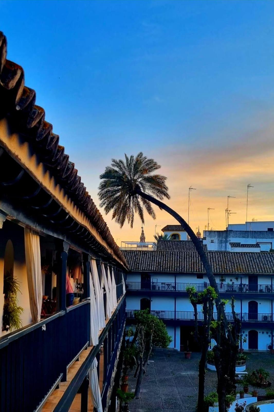 Appartement Andalusian Courtyard