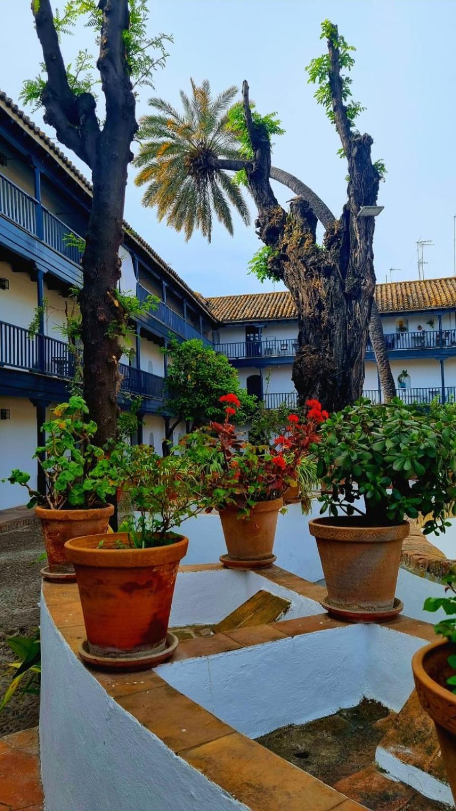 Andalusian Courtyard Appartement Séville