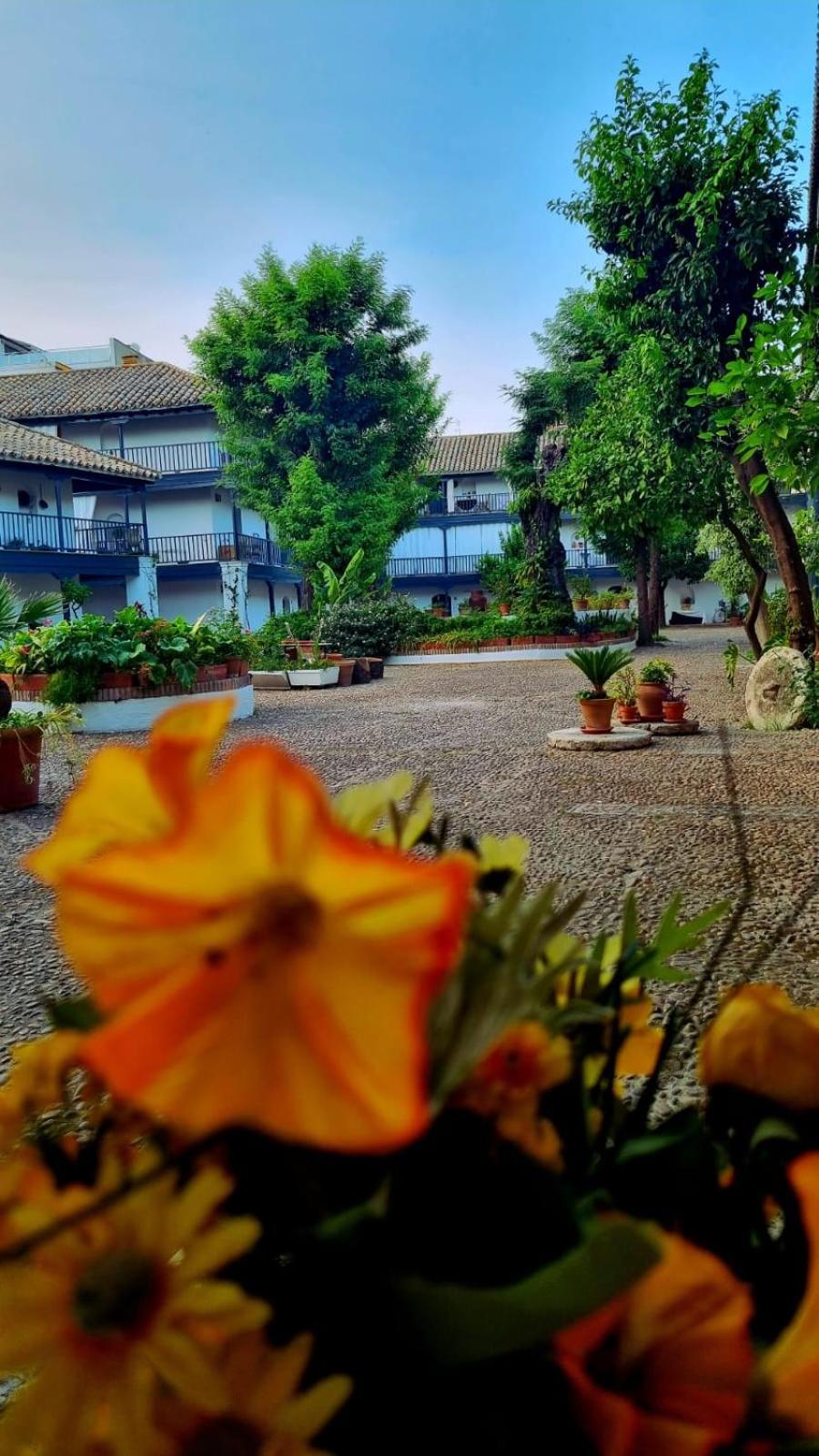 Appartement Andalusian Courtyard Séville