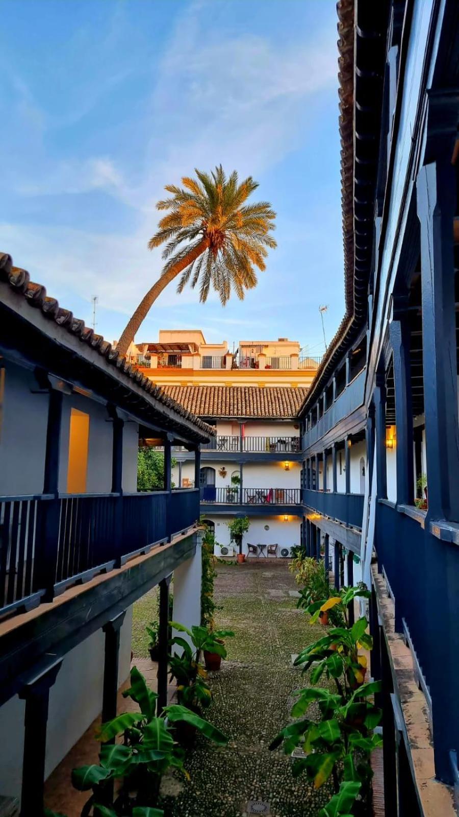 Andalusian Courtyard * Séville
