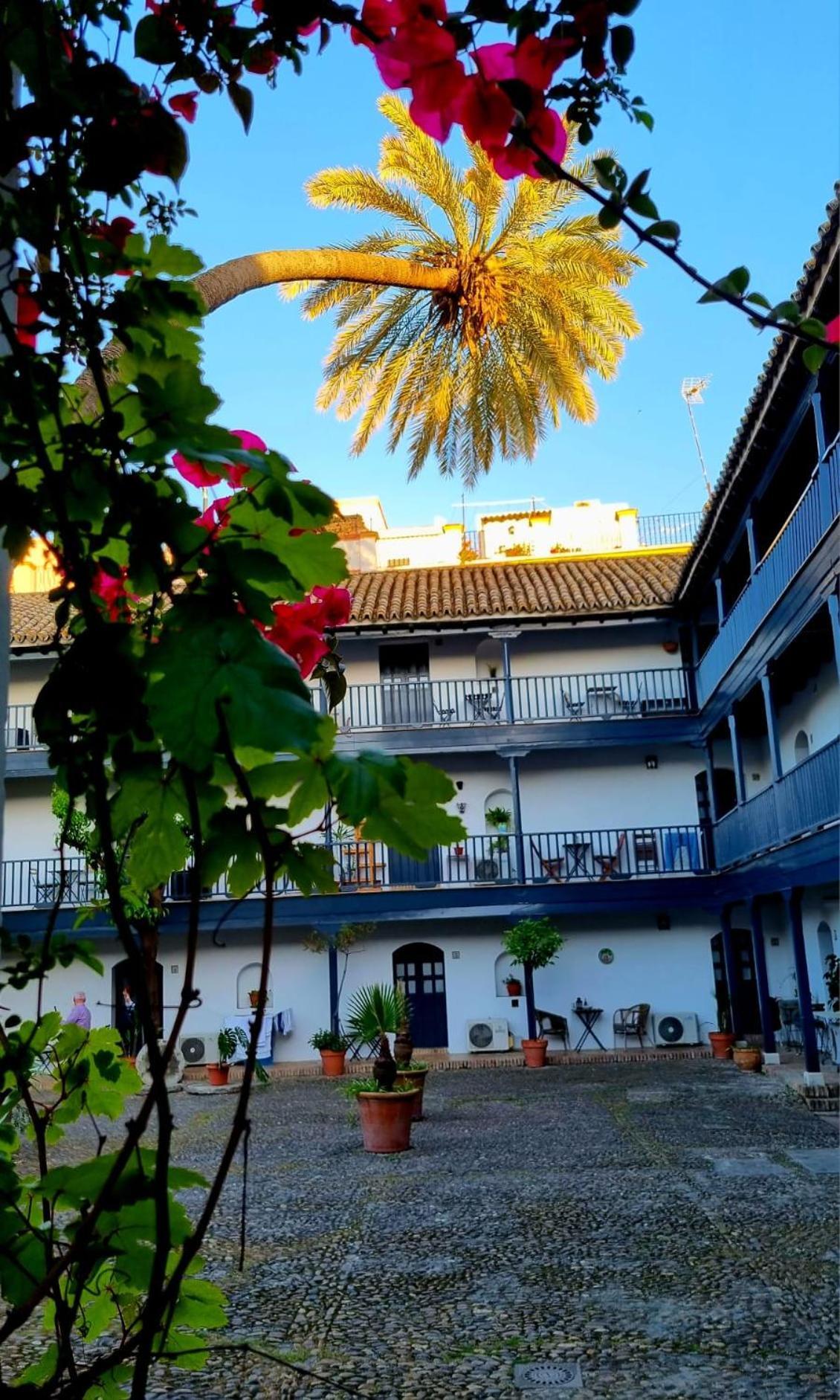Andalusian Courtyard