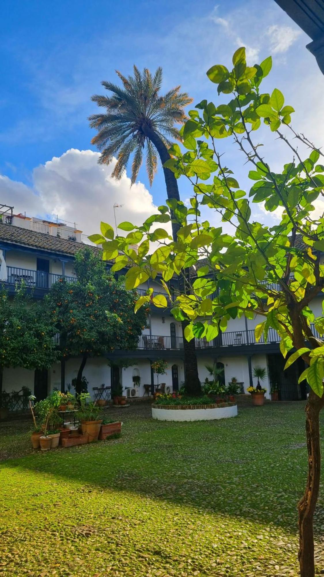 Appartement Andalusian Courtyard