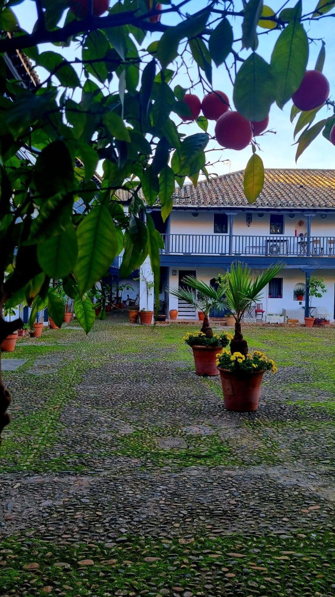 Andalusian Courtyard Appartement *