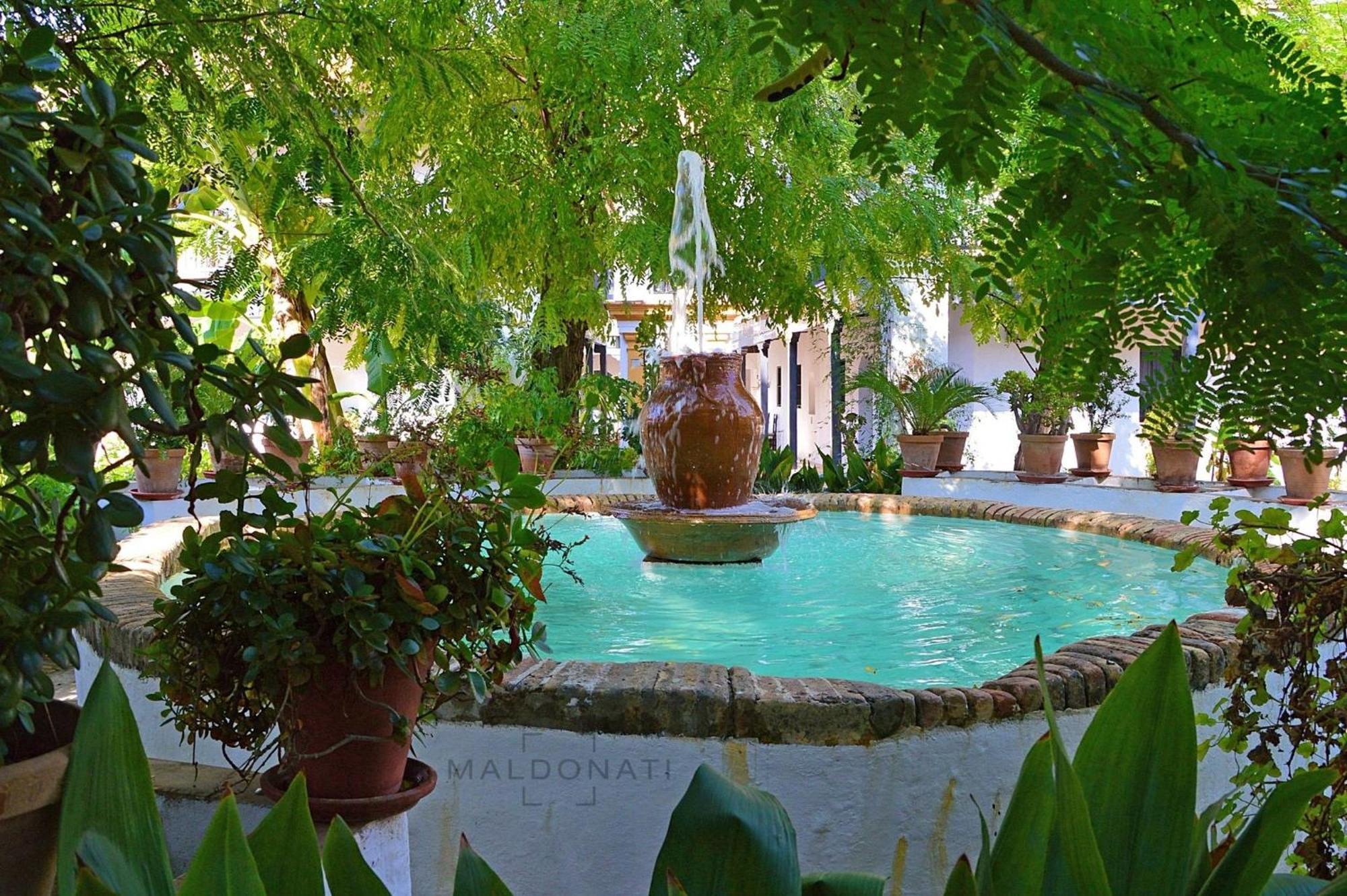Andalusian Courtyard Appartement