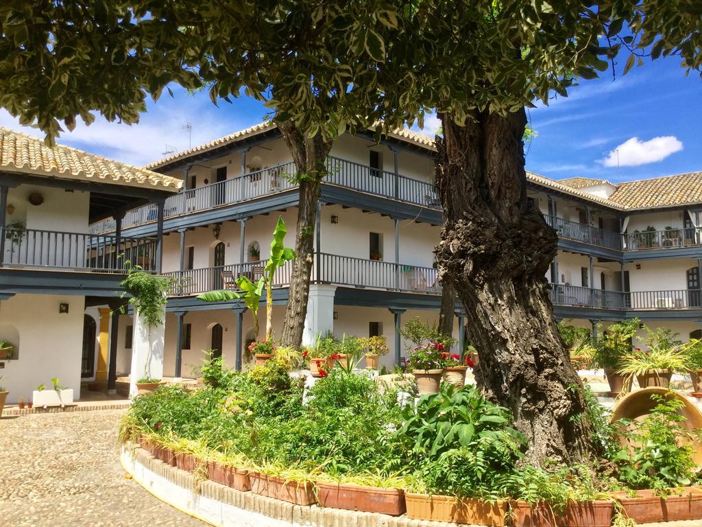 Andalusian Courtyard Appartement *