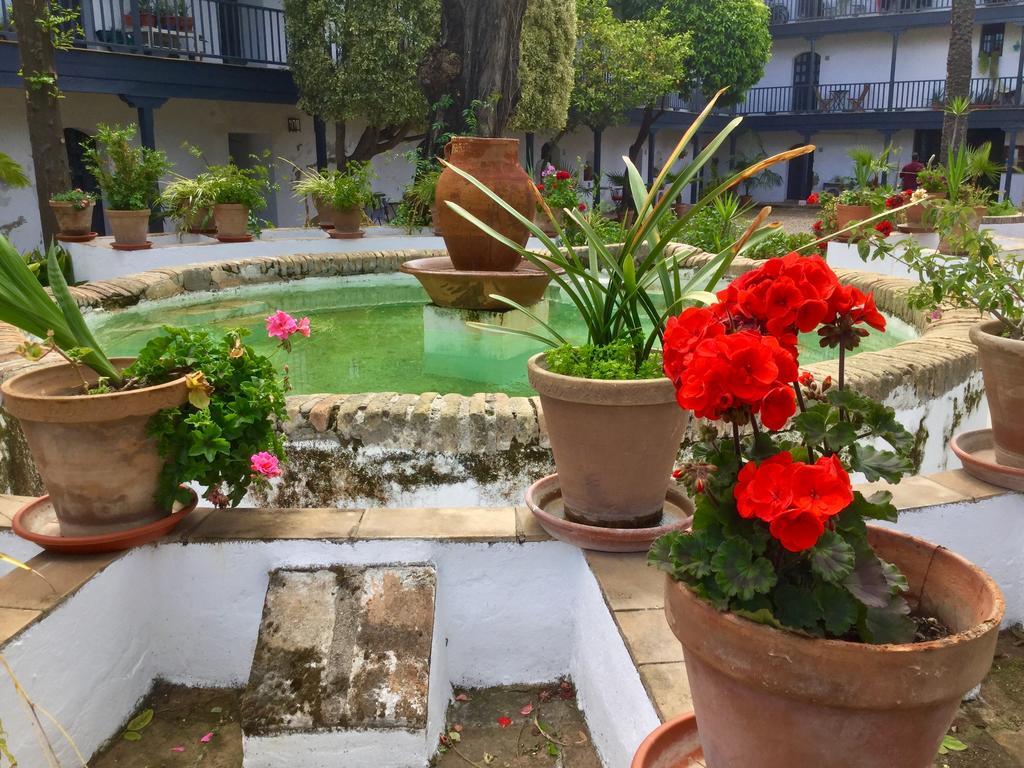 Appartement Andalusian Courtyard Séville