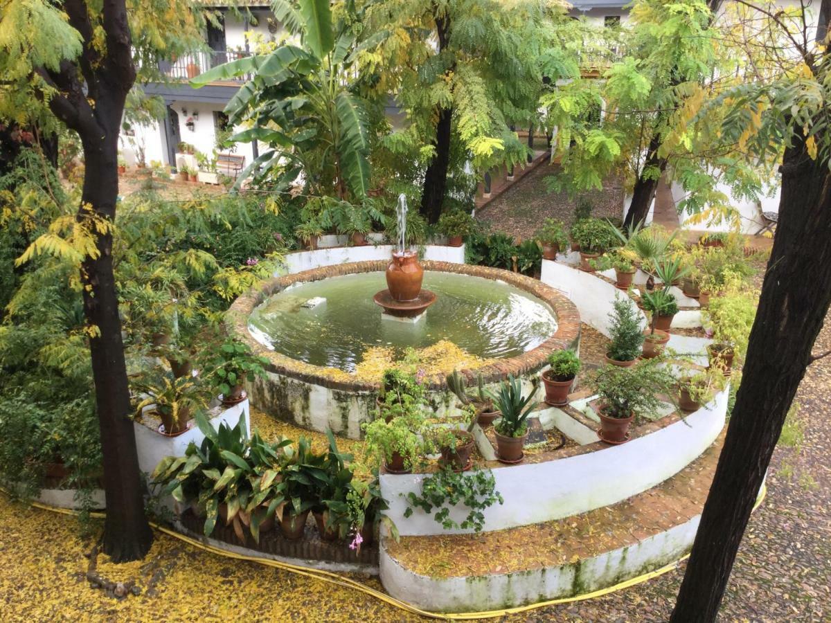Andalusian Courtyard Appartement