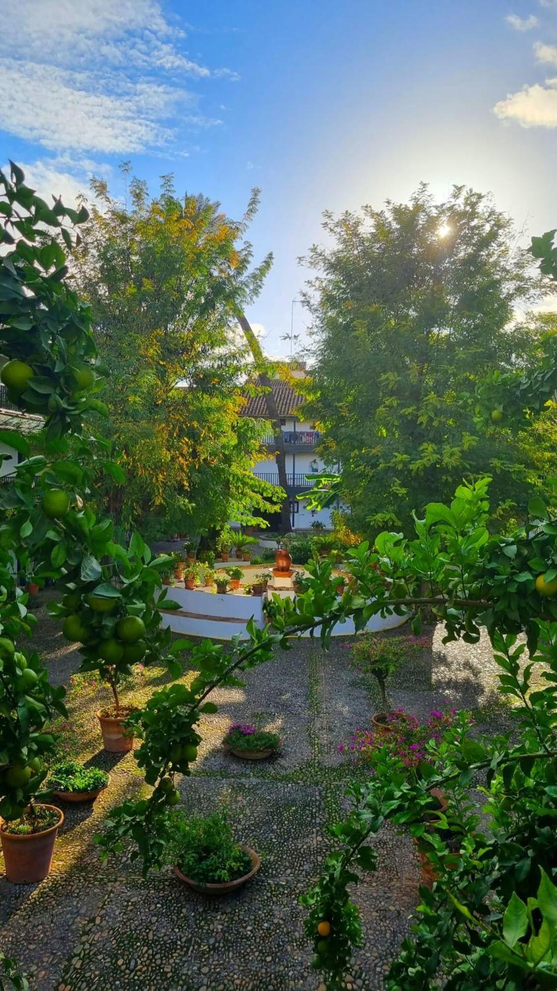 Andalusian Courtyard Apartment Seville